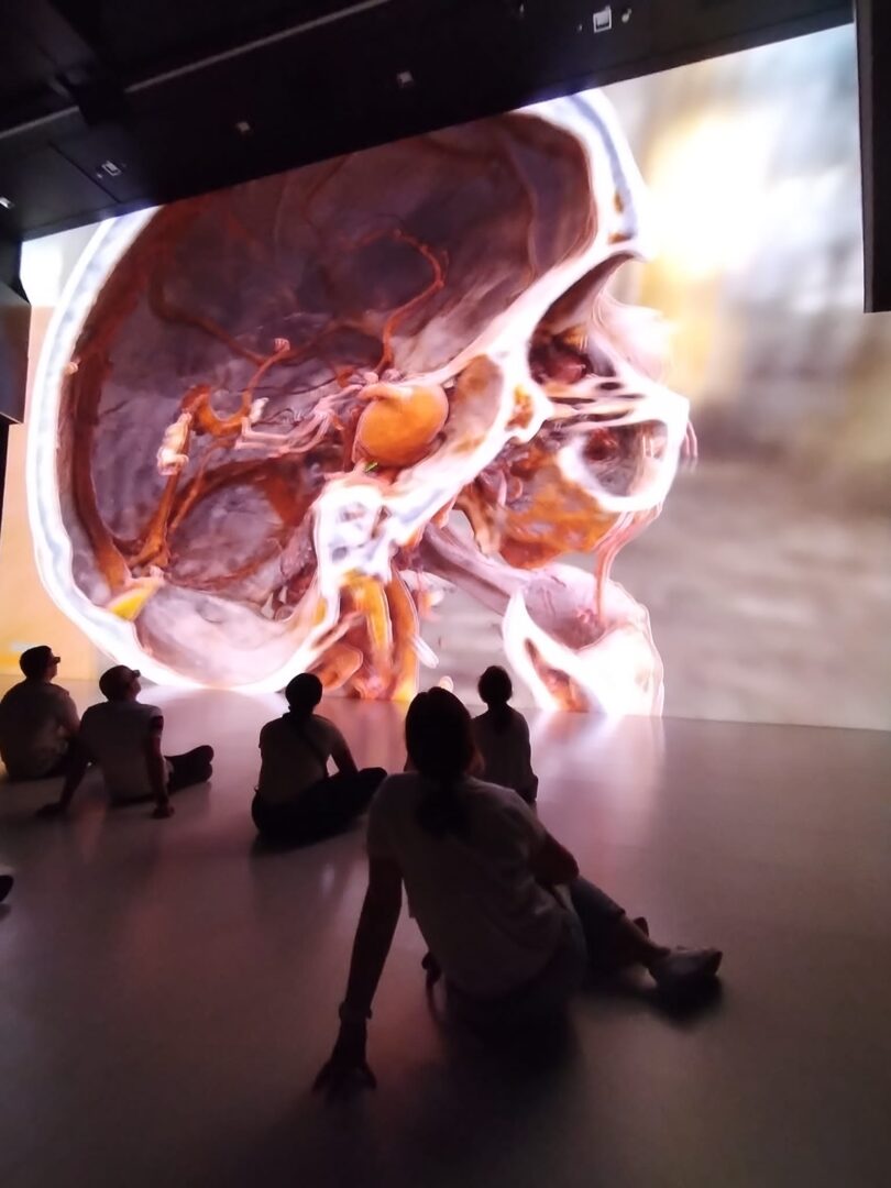 Ars Electronica