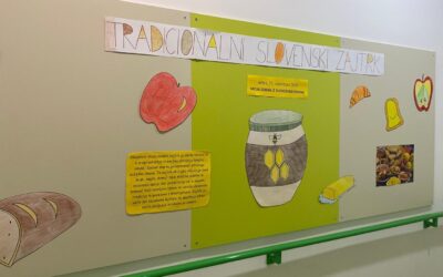 Job shadowing u Ajdovščini