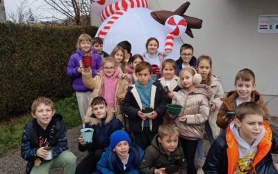 Sijanje božićne pšenice