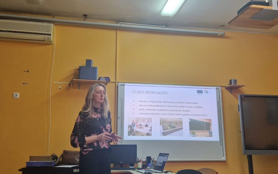 Diseminacija na ŽSV-u učitelja matematike