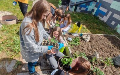 Od sjemenke do školskog vrta