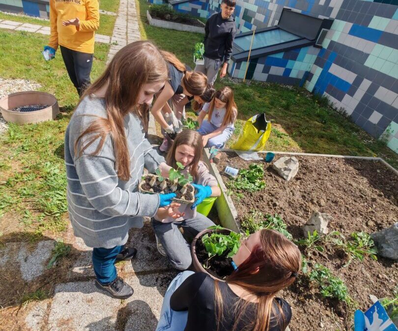 Od sjemenke do školskog vrta