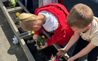 Obilježavanje Dana planeta Zemlje