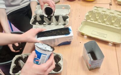 ScoolFood aktivnosti – od sjemenke do biljke